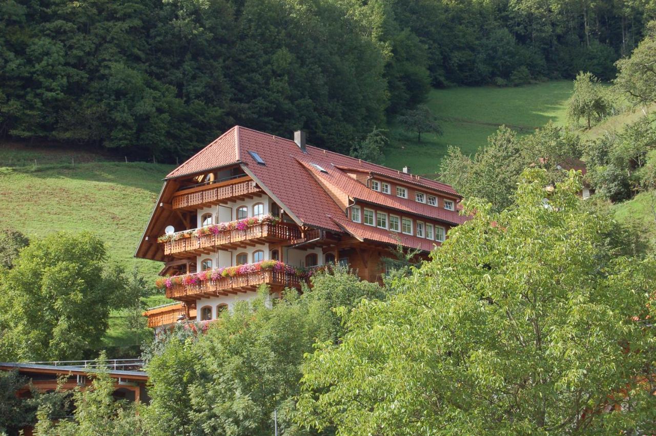 Ehrenmaettlehof Faisst Aparthotel Bad Peterstal-Griesbach Luaran gambar