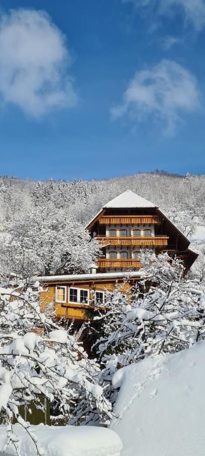 Ehrenmaettlehof Faisst Aparthotel Bad Peterstal-Griesbach Luaran gambar