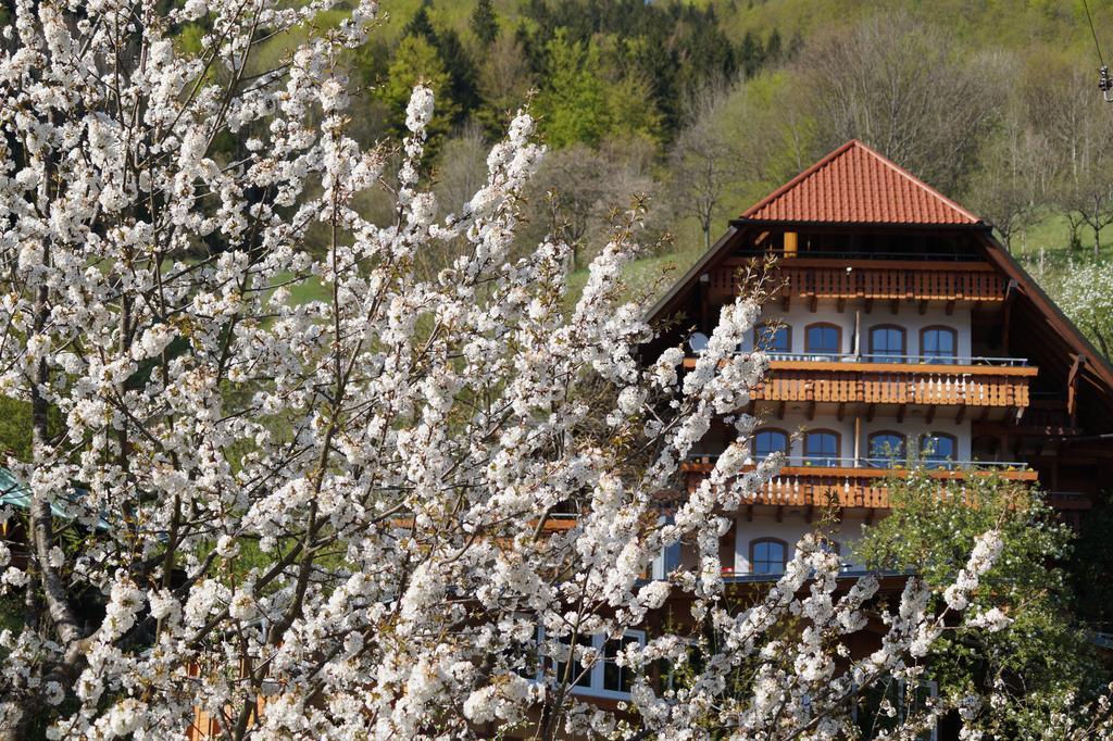 Ehrenmaettlehof Faisst Aparthotel Bad Peterstal-Griesbach Bilik gambar