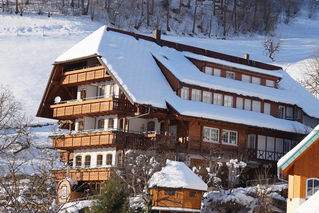 Ehrenmaettlehof Faisst Aparthotel Bad Peterstal-Griesbach Luaran gambar
