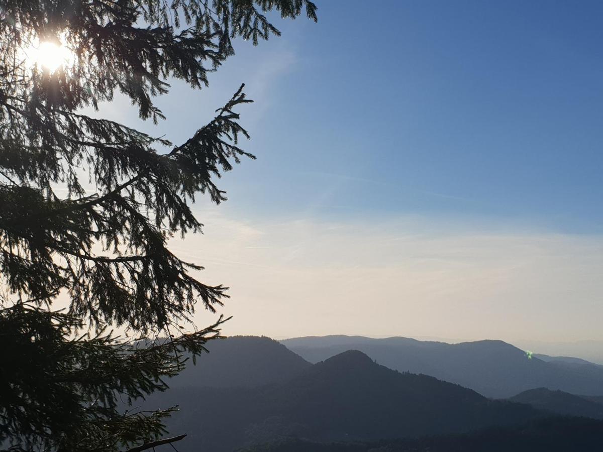 Ehrenmaettlehof Faisst Aparthotel Bad Peterstal-Griesbach Luaran gambar