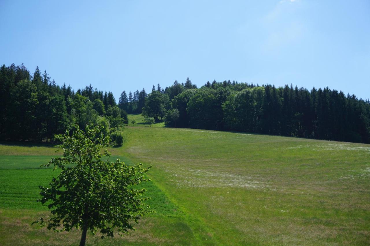 Ehrenmaettlehof Faisst Aparthotel Bad Peterstal-Griesbach Luaran gambar