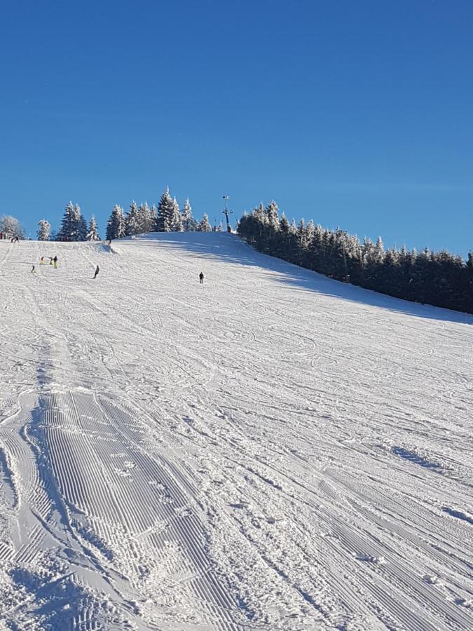 Ehrenmaettlehof Faisst Aparthotel Bad Peterstal-Griesbach Luaran gambar