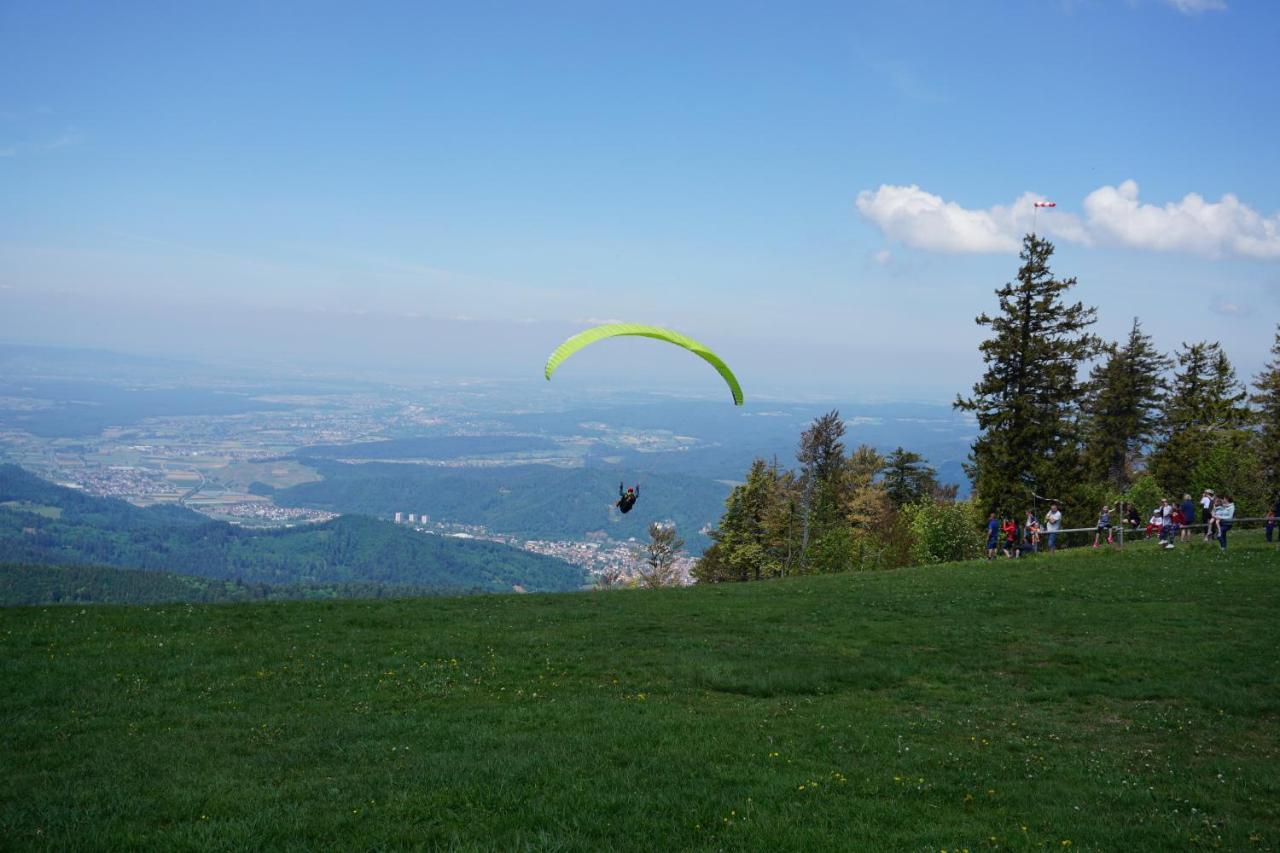 Ehrenmaettlehof Faisst Aparthotel Bad Peterstal-Griesbach Luaran gambar
