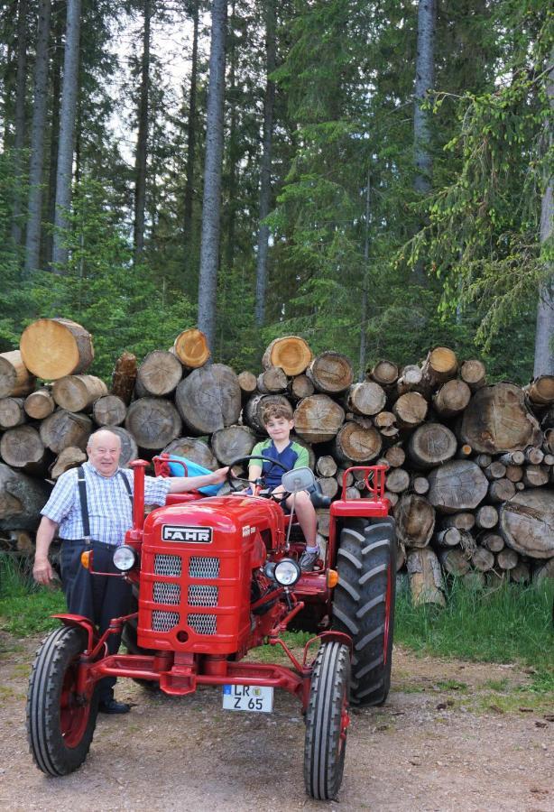 Ehrenmaettlehof Faisst Aparthotel Bad Peterstal-Griesbach Luaran gambar